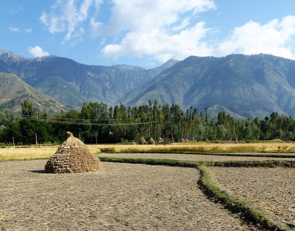 Uitzicht onderweg naar Sonamarg, Kashmir - India