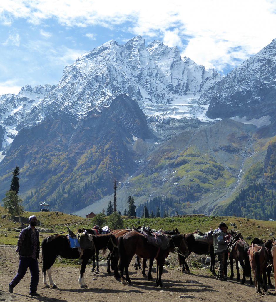 Sonamarg, Thajiwas Gletsjer - Noord India