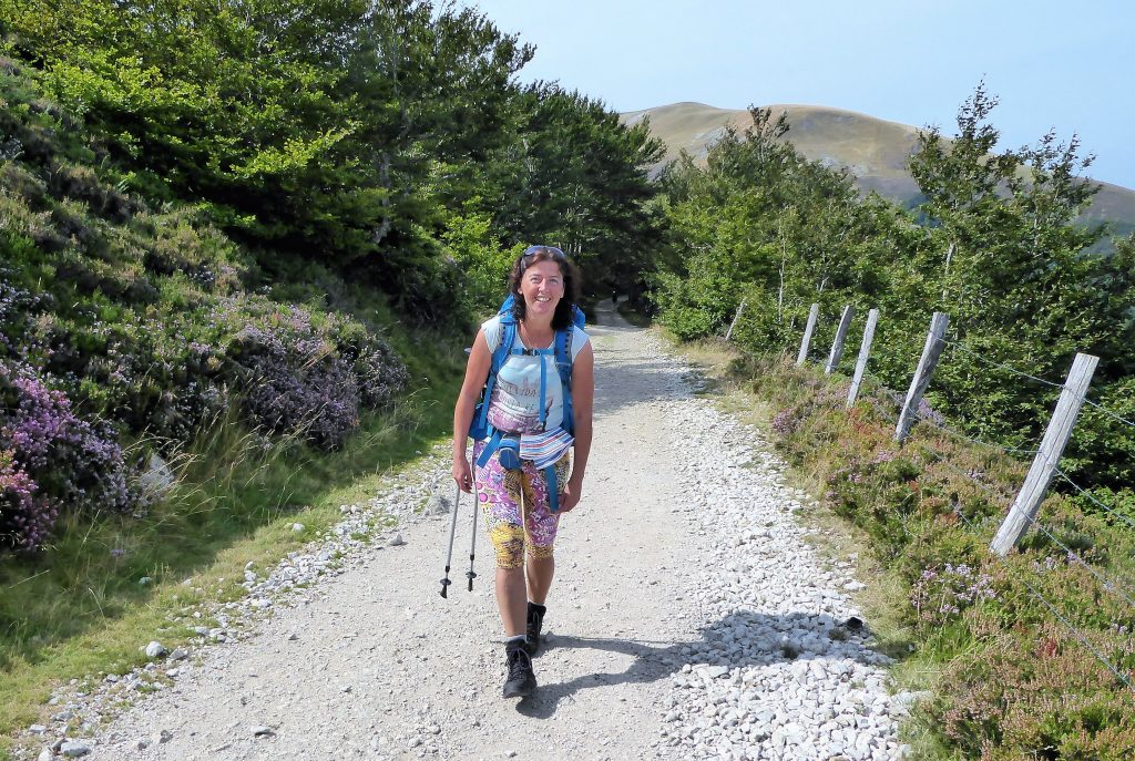 Pyreneen Camino Frances - Spanje