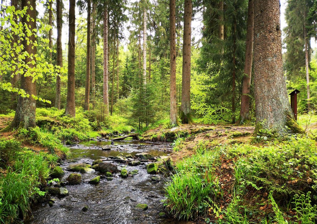 Wandelen in Duitsland - Wandelroute Hermannshohen