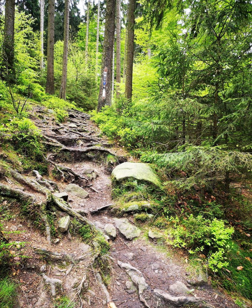 The Hermannshoehen (Hermann Heights) Hiking Trail