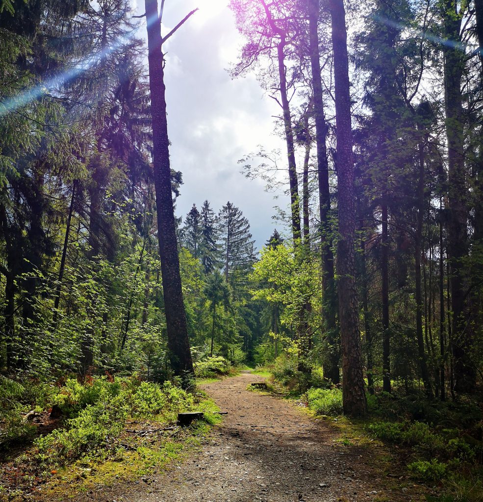 Hiking in Germany - The Hermannshoehen (Hermann Heights) Hiking Trail